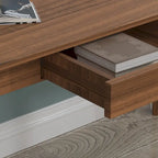 Kerrogee 39.4 Wood Computer Desk with 2 Drawers - 4 Colors