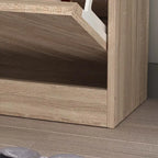 22.4W Modern Shoe Storage Cabinet,Fold-out Drawer